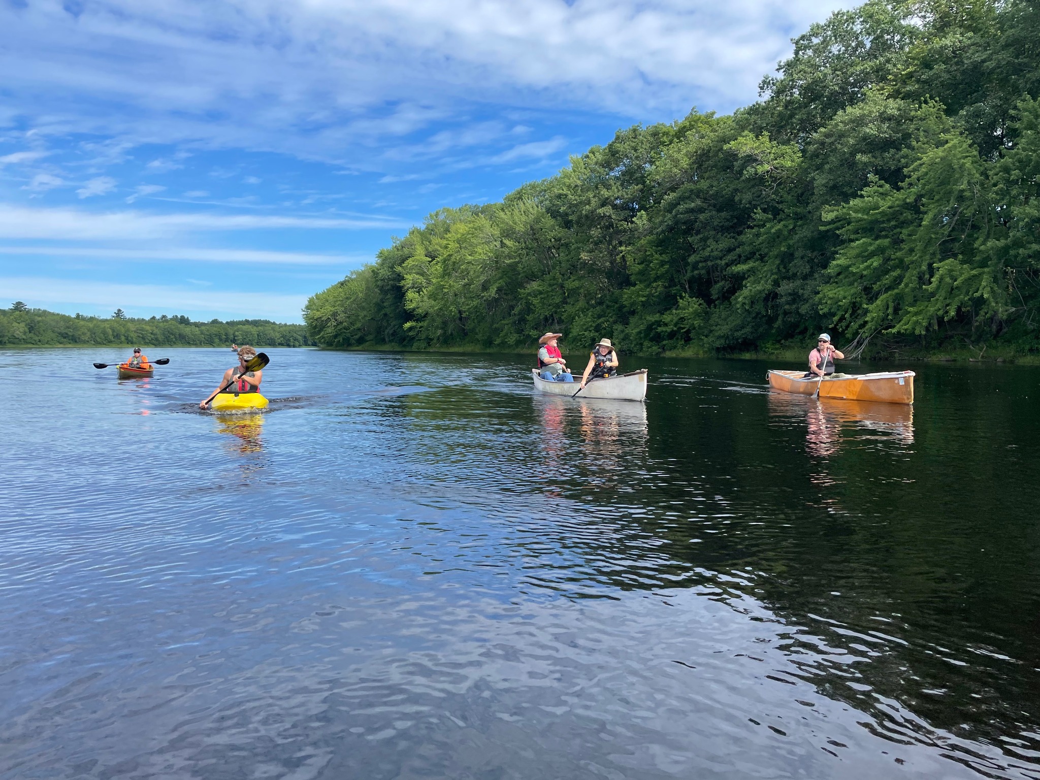 people paddling in canoes